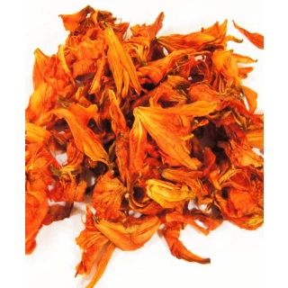 LILIA KWIAT LILII-LILLY FLOWER 1 KG